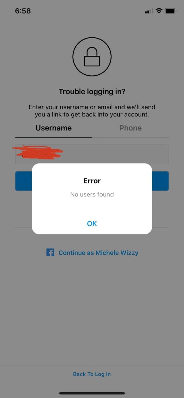 Instagram trouble logging in - no users found