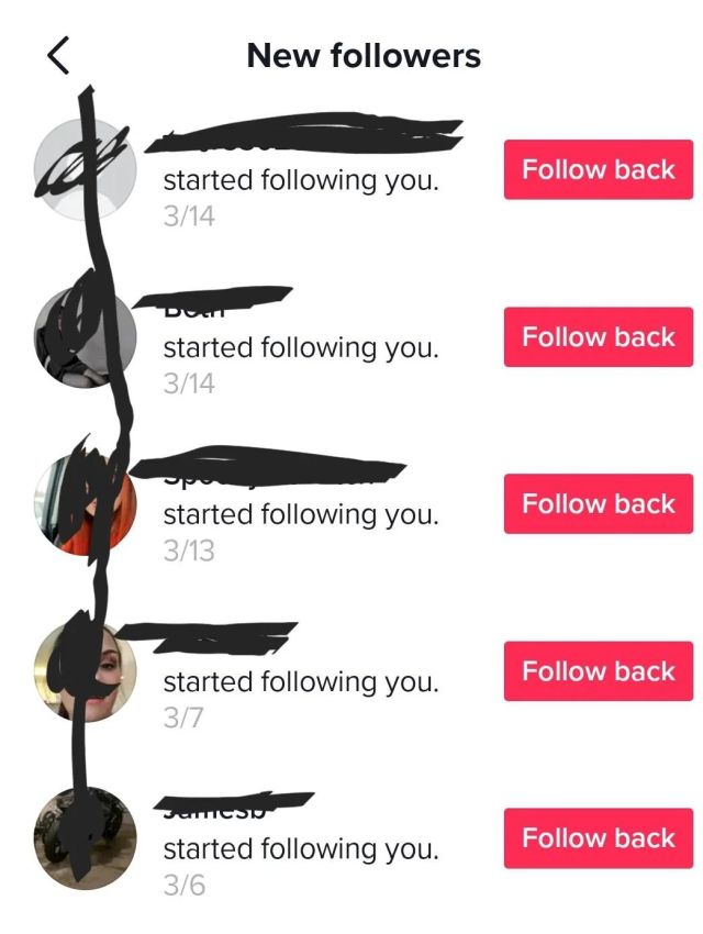 tiktok new followers notification