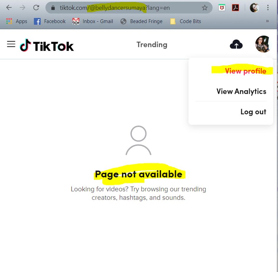 tiktok page not available on browser